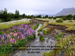 O valor do homem é determinado, em primeira
linha, pelo grau e pelo sentido em que se libertou
                    do seu ego.
 