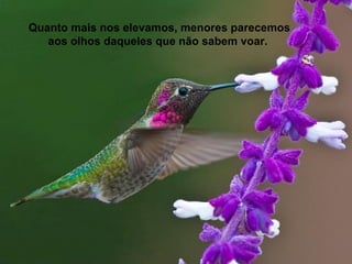 Quanto mais nos elevamos, menores parecemos
   aos olhos daqueles que não sabem voar.
 