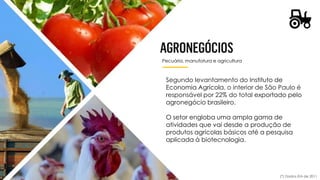 Pecuária, manufatura e agricultura
Segundo levantamento do Instituto de
Economia Agrícola, o interior de São Paulo é
responsável por 22% do total exportado pelo
agronegócio brasileiro.
O setor engloba uma ampla gama de
atividades que vai desde a produção de
produtos agrícolas básicos até a pesquisa
aplicada à biotecnologia.
(*) Dados IEA de 2011
 
