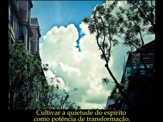 Cultivar a quietude do espírito  como potência de transformação. 