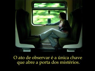 O ato de observar é a única chave  que abre a porta dos mistérios. 