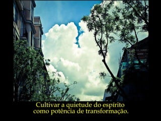 Cultivar a quietude do espírito  como potência de transformação. 