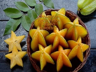 CARAMBOLA FRUTA TÍPICA REGIÃO NORDESTE   
