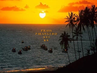 PRAIA PIRANGI DO SUl RN 