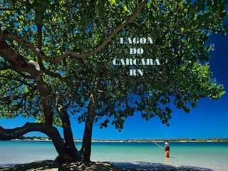 LAGOA
  DO
CARCARÁ
  RN
 