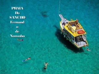 PRAIA
  Do
SANCHO
Fernand
   o
  de
Noronha
 