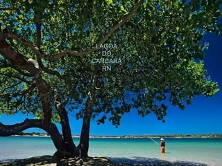 LAGOA DO CARCARÁ RN 