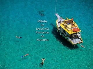 PRAIA Do SANCHO Fernando de Noronha 