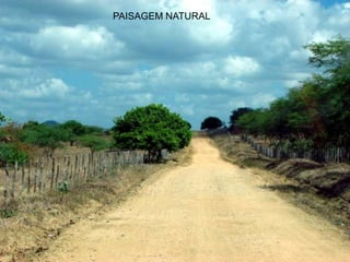 PAISAGEM NATURAL
 