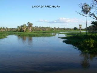 LAGOA DA PRECABURA
 