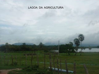 LAGOA DA AGRICULTURA
 