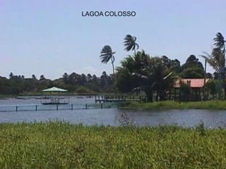 LAGOA COLOSSO
 