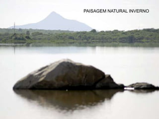 PAISAGEM NATURAL INVERNO
 