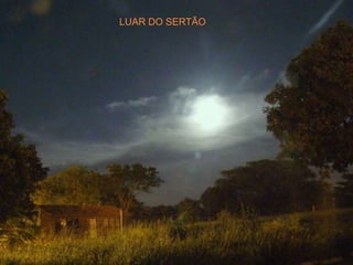 LUAR DO SERTÃO
 
