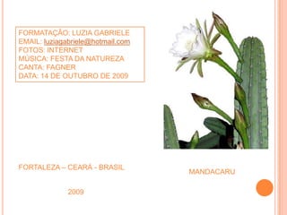 FORMATAÇÃO: LUZIA GABRIELE
EMAIL: luziagabriele@hotmail.com
FOTOS: INTERNET
MÚSICA: FESTA DA NATUREZA
CANTA: FAGNER
DATA: 14 DE OUTUBRO DE 2009




FORTALEZA – CEARÁ - BRASIL
                                   MANDACARU

              2009
 