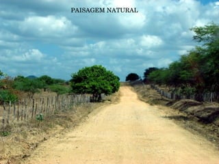 PAISAGEM   NATURAL 