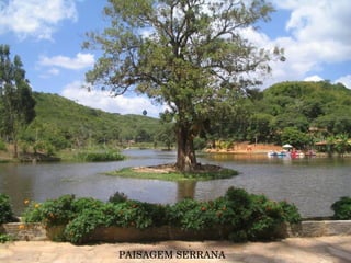 PAISAGEM SERRANA 