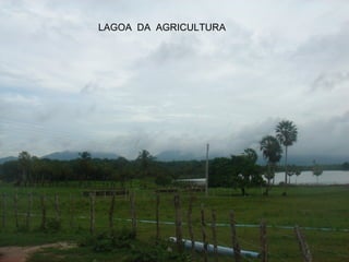 LAGOA  DA  AGRICULTURA 