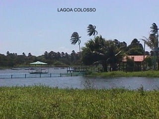 LAGOA COLOSSO 