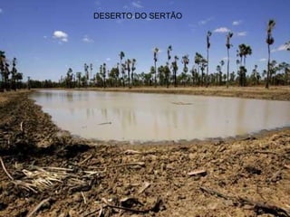 DESERTO DO SERTÃO 
