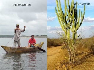 MANDACARU PESCA NO RIO 