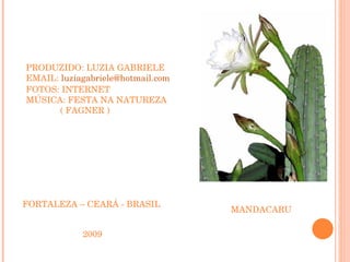 PRODUZIDO: LUZIA GABRIELE EMAIL:  [email_address] FOTOS: INTERNET MÚSICA: FESTA NA NATUREZA ( FAGNER ) FORTALEZA – CEARÁ - BRASIL 2009 MANDACARU 