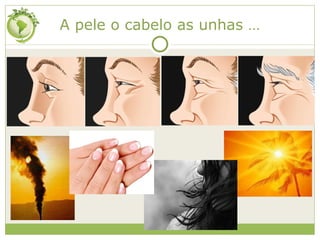 A pele o cabelo as unhas … 