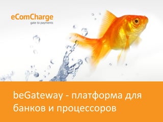 beGateway	-	платформа	для		
банков	и	процессоров	
 