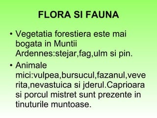 FLORA SI FAUNA Vegetatia forestiera este mai bogata in Muntii Ardennes:stejar,fag,ulm si pin. Animale mici:vulpea,bursucul,fazanul,veverita,nevastuica si jderul.Caprioara si porcul mistret sunt prezente in tinuturile muntoase. 