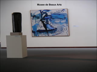Musee de Beaux Arts 