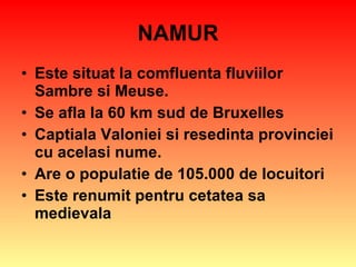 NAMUR Este situat la comfluenta fluviilor Sambre si Meuse. Se afla la 60 km sud de Bruxelles Captiala Valoniei si resedinta provinciei cu acelasi nume. Are o populatie de 105.000 de locuitori  Este renumit pentru cetatea sa medievala 