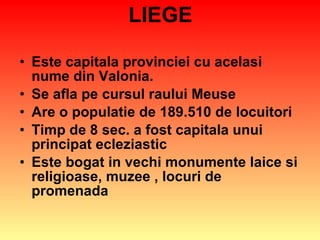 LIEGE Este capitala provinciei cu acelasi nume din Valonia. Se afla pe cursul raului Meuse Are o populatie de 189.510 de locuitori Timp de 8 sec. a fost capitala unui principat ecleziastic Este bogat in vechi monumente laice si religioase, muzee , locuri de promenada  