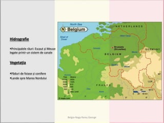 Hidrografie
Principalele râuri: Escaut și Meuse
legate printr-un sistem de canale
Vegetația
Păduri de foiase și conifere
Lande spre Marea Nordului
Belgia-Nagy Rareș George
 
