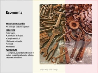 Economia
Resursele naturale
În principal cărbunii superiori
Industria
Siderurgică
Construcții de mașini
Energie electrică
Rafinarea petrolului
Chimică
Alimentară
Agricultura
Complexă, cu randament ridicat în
cultura cerealelor, plantelor tehnice,
creșterea animalelor.
Belgia-Nagy Rareș George
 