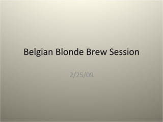 Belgian Blonde Brew Session 2/25/09 