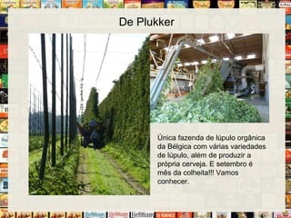 De Plukker
Única fazenda de lúpulo orgânica
da Bélgica com várias variedades
de lúpulo, além de produzir a
própria cerveja. E setembro é
mês da colheita!!! Vamos
conhecer.
 