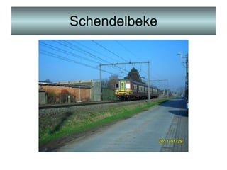 Schendelbeke 