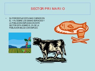 SECTOR PRIMARIO SU PORCENTAJE ESTA MAS O MENOS EN EL 1´4% SOBRE LOS DEMAS SERVICIOS Y LA POBLACION EMPLEADA EN ESTE SECTOR ESTA SOBRE EL 2% DE LA POBLACION BELGA CON EMPLEO. 