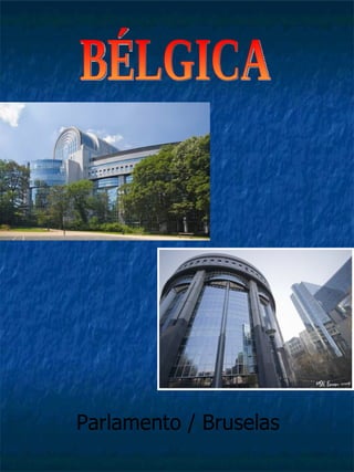 BÉLGICA Parlamento / Bruselas 