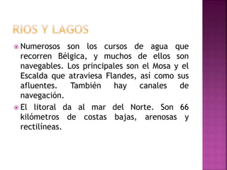  Numerosos son los cursos de agua que
recorren Bélgica, y muchos de ellos son
navegables. Los principales son el Mosa y el
Escalda que atraviesa Flandes, así como sus
afluentes. También hay canales de
navegación.
 El litoral da al mar del Norte. Son 66
kilómetros de costas bajas, arenosas y
rectilíneas.
 