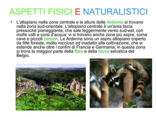 • L'altopiano nella zona centrale e le alture delle Ardenne si trovano
nella zona sud-orientale. L'altopiano centrale è un'area liscia
pressoché pianeggiante, che sale leggermente verso sud-est, con
molte valli e corsi d'acqua; vi si trovano anche zone più aspre, come
cave e piccoli canyon. Le Ardenne sono un aspro altopiano coperto
da fitte foreste, molto roccioso ed inadatto alla coltivazione, che si
estende anche oltre i confini di Francia e Germania; in questa zona
si trova la maggior parte della flora e della fauna selvatica del
Belgio.
ASPETTI FISICI E NATURALISTICI
 