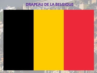 Drapeau de la Belgique