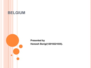 BELGIUM

Presented by
Hareesh Borigi(12010221035).

 
