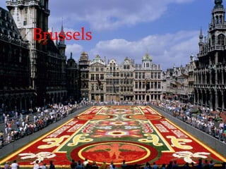 Brussels 
 