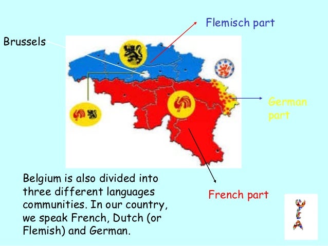 What Language They Speak In Belgium