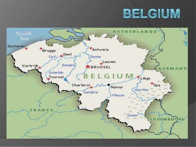 capital brussels is the capital of belgium