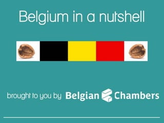 Belgium in a nutshell
