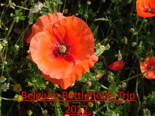 Belgium Battlefields Trip
        2012.
 