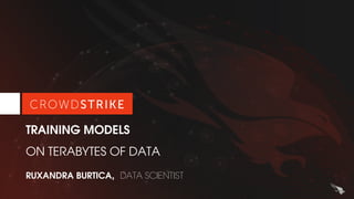 TRAINING MODELS
ON TERABYTES OF DATA
RUXANDRA BURTICA, DATA SCIENTIST
 