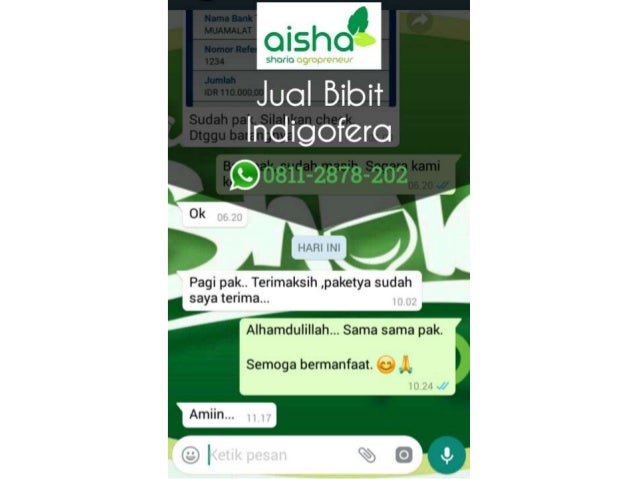 Beli 0811 2878 202 Benih Indigofera Jual Bibit Indigofera Di Ban
